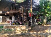 Arborea Café Jatijajar Depok, Hidden Gem Cafe di Tengah Hutan yang Wajib Dikunjungi