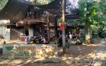 Arbore