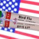 H5N1 Serang Unggas Filipina, Biosekuriti Jadi Sorotan