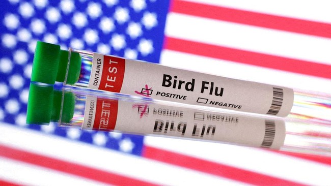 H5N1 Serang Unggas Filipina, Biosekuriti Jadi Sorotan