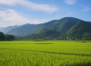 Bulog Cianjur Pastikan GKG Petani Terserap