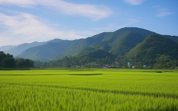 Bulog Cianjur Pastikan GKG Petani Terserap
