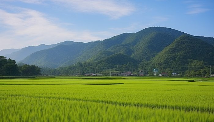 Bulog Cianjur Pastikan GKG Petani Terserap
