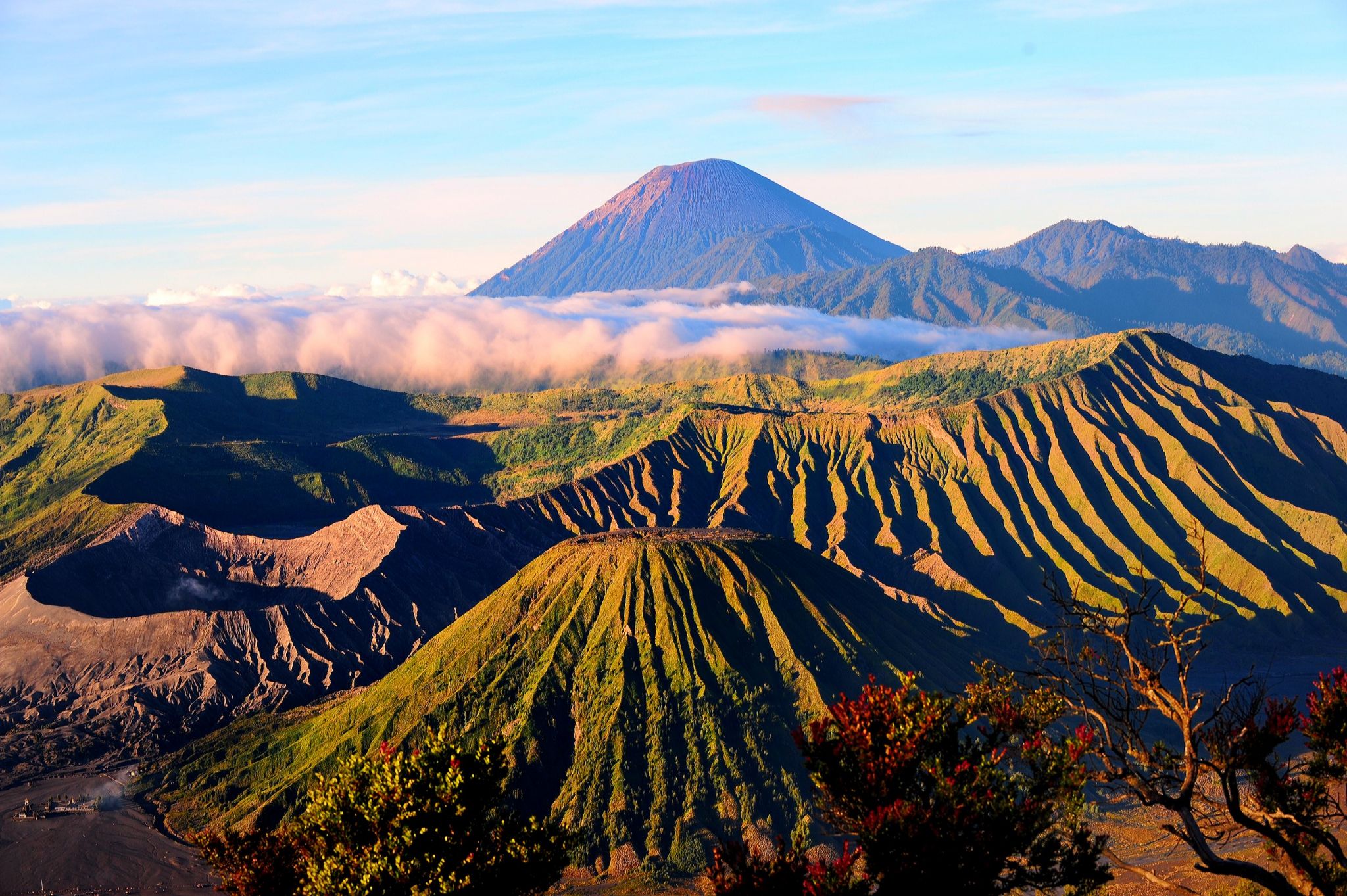 gunung bromo ilustrasi