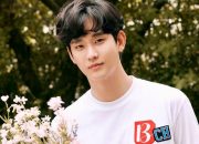 Kim Soo Hyun Bawa “Dreaming” ke TV Indonesia