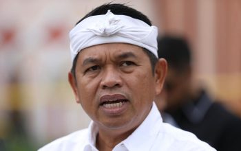 Dedi Mulyadi Tebang Pohon Angsana, Ini Alasannya