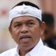 Dedi Mulyadi Tebang Pohon Angsana, Ini Alasannya