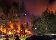 7 Kantor Pemerintah di Puncak Papua Dibakar