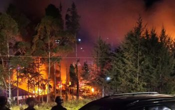 7 Kantor Pemerintah di Puncak Papua Dibakar
