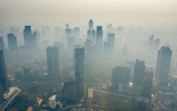 Polusi Udara Ancam Paru dan Otak Anak
