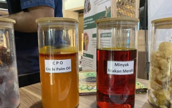 Guru Besar IPB Dorong Konsumsi Sawit Merah