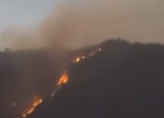 Cagar Alam Ijen Terbakar