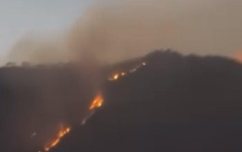 Cagar Alam Ijen Terbakar