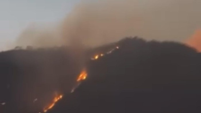 Cagar Alam Ijen Terbakar